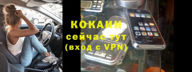 магазин    Великие Луки  КОКАИН FishScale 