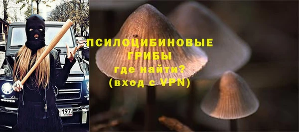 индика Россошь