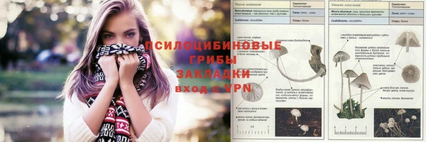индика Россошь