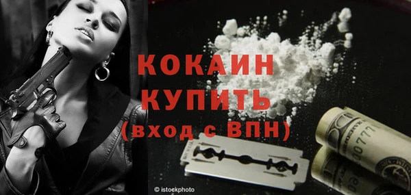 индика Россошь