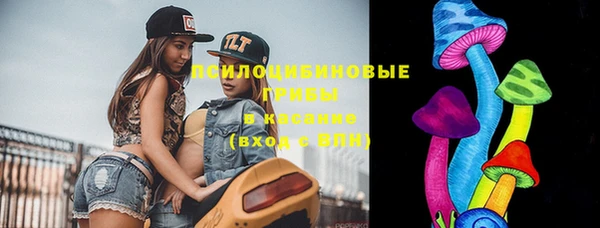 индика Россошь