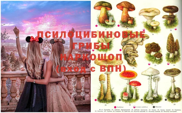 индика Россошь