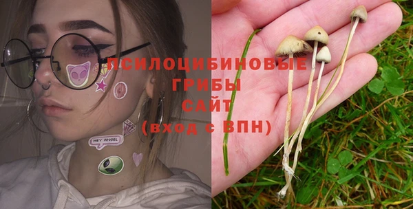 мяу мяу мука Рославль