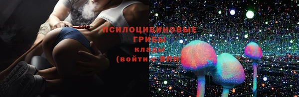 мяу мяу мука Рославль
