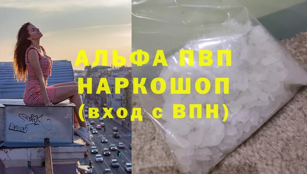 индика Россошь