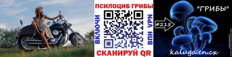 Галлюциногенные грибы Psilocybe  купить наркотик  Великие Луки 