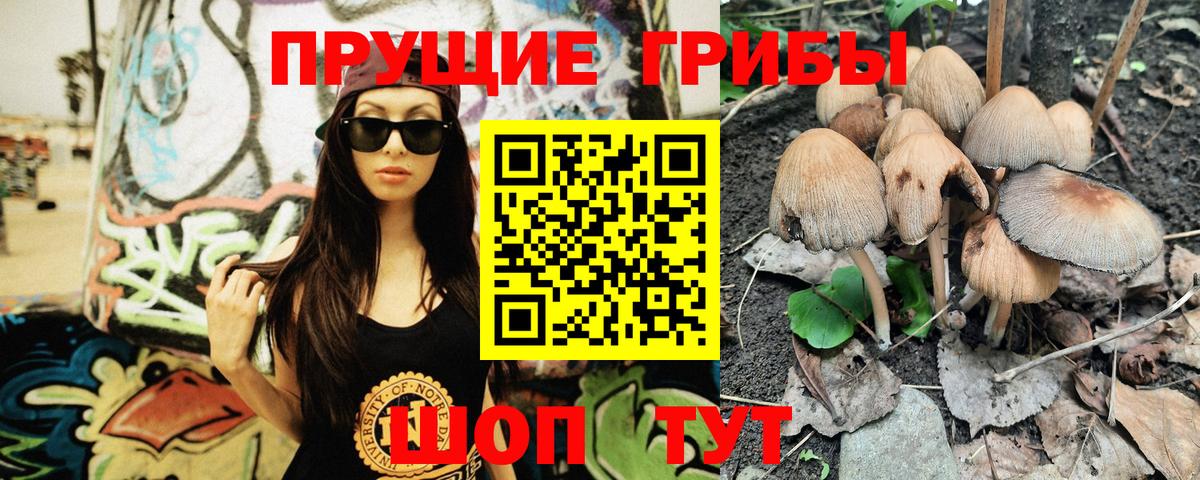 Псилоцибиновые грибы Psilocybe  Вход с VPN  Псилоцибиновые грибы Magic Shrooms  Великие Луки 