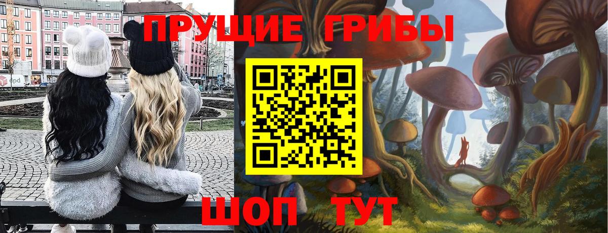 Галлюциногенные грибы GOLDEN TEACHER Великие Луки