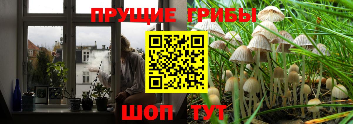 Псилоцибиновые грибы мухоморы  Великие Луки  Галлюциногенные грибы ЛСД 