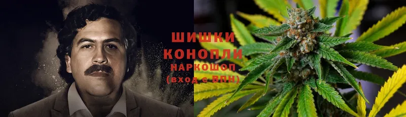Марихуана SATIVA & INDICA Великие Луки